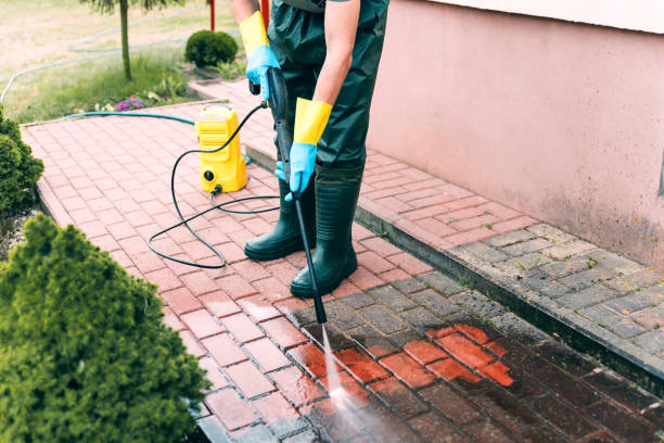 Best Residential Pressure Washing in USA